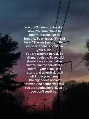 The cover image features a vertical composition with a colorful sky as a backdrop, transitioning from deep blues and purples at the top to vibrant pinks and oranges towards the bottom. Silhouetted against the sky are power lines and some tree branches. Overlaid on the image is a block of white text containing a motivational message, which is the hook of the video.