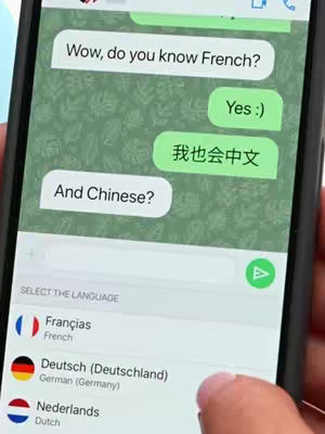 The cover image shows a smartphone displaying a conversation. The screen shows a text message, with the dialogue bubbles in white, with green backgroud for messages from the other speaker. It uses multiple languages including Chinese and French, with a language selection menu at the bottom.