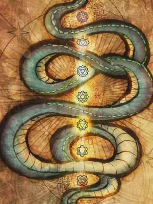 The image features a stylized illustration of a snake spiraling upwards against a textured, parchment-like background. The snake, depicted in shades of blue and gray with green accents, is central to the composition. Along the snake's body, several circular symbols, each with a different design, suggest chakras or energy centers. The background has a warm, sepia tone with subtle patterns that resemble an old map or parchment paper. The overall aesthetic is mystical and symbolic.