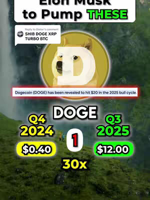 The image shows an infographic promoting crypto memecoins. The top features text overlays and a speech bubble referencing Elon Musk. The background is a natural landscape. The central element is the Dogecoin logo, and the bottom section displays financial projections with percentages and dollar amounts.