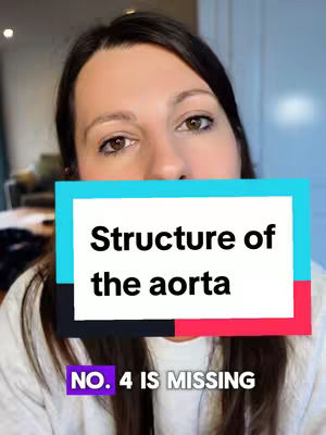 A woman with brown hair is close to the camera. She is centred in the frame with a blue rectangle, with a white rectangle inside and a red one behind. The text overlay reads "Structure of the aorta". There is a purple rectangle at the bottom and the text overlay reads "NO. 4 IS MISSING".