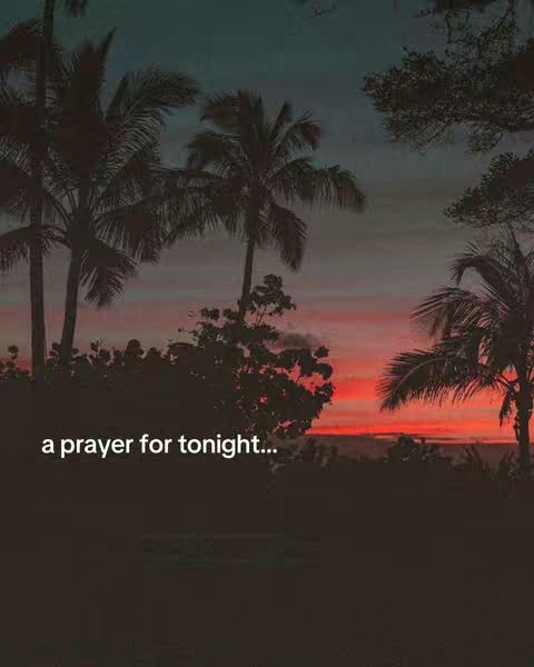 The image shows a sunset with palm trees in silhouette, with a phrase overlaid on the bottom, all against a dark background.
