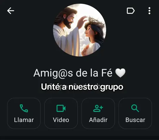 The image is a screenshot of a WhatsApp chat interface, with a dark green background. At the top, there is a circular profile picture featuring a digitally rendered image of Jesus Christ placing his hand on the head of a woman. Below the profile picture, the group name 'Amig@s de la Fé' is displayed, followed by a heart emoji. Underneath, the text 'Unté a nuestro grupo' is written. At the very bottom, there are four circular buttons: 'Llamar', 'Video', 'Añadir', and 'Buscar'.