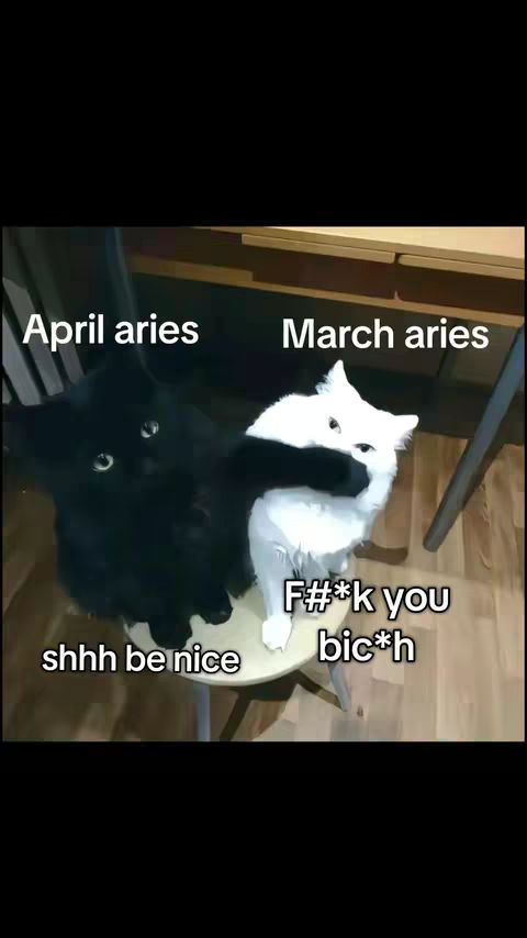 A humorous meme featuring two cats, one black and one white, superimposed on a wooden surface. The black cat, labeled "April aries", is embracing the white cat, labeled "March aries". Text overlays include "shhh be nice" and "F#*k you bic*h", along with the labels for each cat's astrological sign for satirical effect.