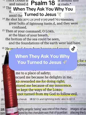 The cover image is a close-up of a Bible page with the text of Psalm 18. A light blue box is overlayed with the words "When They Ask You Why You Turned to Jesus". A red marker is partially visible in the bottom left corner, and a TikTok watermark is visible in the top right corner. The general layout is vertical.