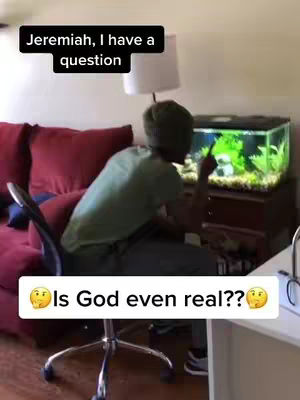 A man is seated with his back to us, seemingly in a living room. He's in front of a sofa and an aquarium, pointing at the aquarium. The image has text overlays with questions.
