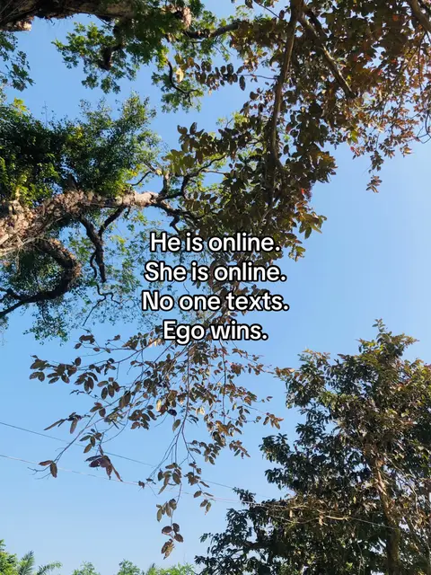 A low-angle shot looking up through trees towards a bright blue sky. The trees fill the frame, with the leaves and branches creating a natural pattern. Text overlays appear against the sky with a font in white color.