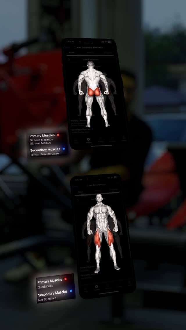 The cover image shows two smartphone screens displaying an anatomical illustration of a male figure, highlighting different muscle groups in red color. The background is dark and blurred, possibly of an indoor setting with red accents.