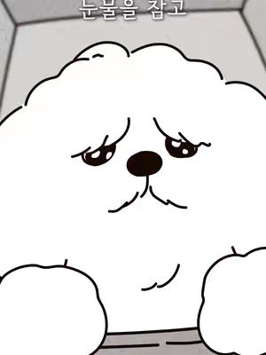 An animated image featuring a white, fluffy cartoon dog with a sad expression. The dog has large, downturned eyes with visible tears, a black nose, and a small, curved mouth. It appears to be holding its paws, which are also white and fluffy. Above the dog's head, in the top center, is Korean text.