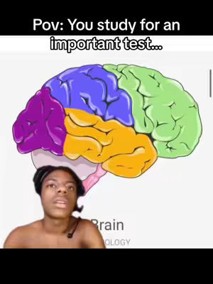 The cover image is a split screen. The top half shows a diagram of a brain with regions highlighted in different colors. The bottom half features a close-up of a person with an expressive face, overlaid on the brain diagram.