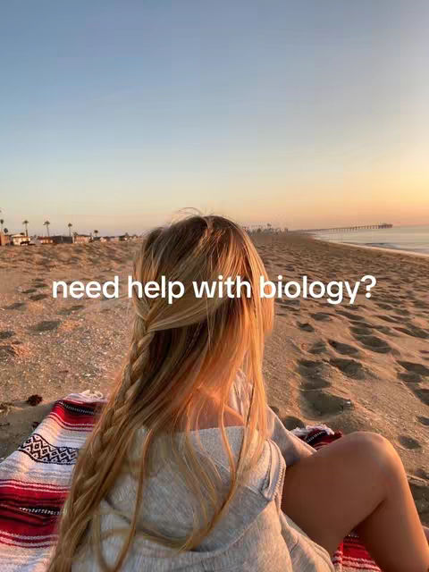 A cover image featuring a person with long blonde hair, sitting on a beach at sunset. The person is facing away from the camera, looking towards the ocean where a pier is visible. The sky is a gradient of colors, with hints of orange and blue. The person is sitting on a blanket with a striped pattern. The overall composition is peaceful and serene.