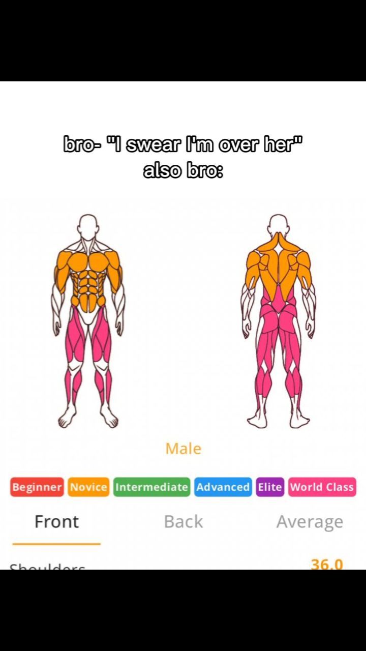 A graphic showing two diagrams of a human body, one frontal and one rear view, with muscles color-coded and labeled. Text overlays the image with a humorous phrase.