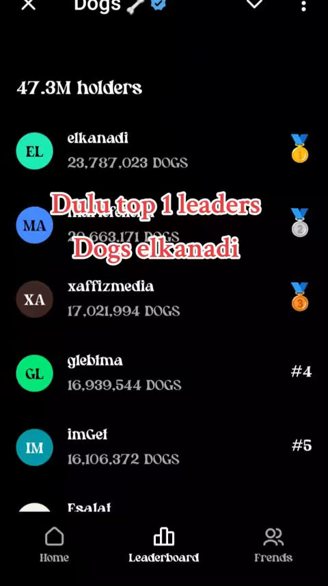 Screenshot from the app with a dark background. The top of the screen displays the word "Dogs" along with a bone icon and a checkmark. Beneath this is the large text "47.3M holders". The main content area lists user names and the number of DOGS tokens they hold, with "elkanadi" at the top. An added overlay reads "Dulu top 1 leaders". The graphic is well-organized with a minimalist aesthetic.