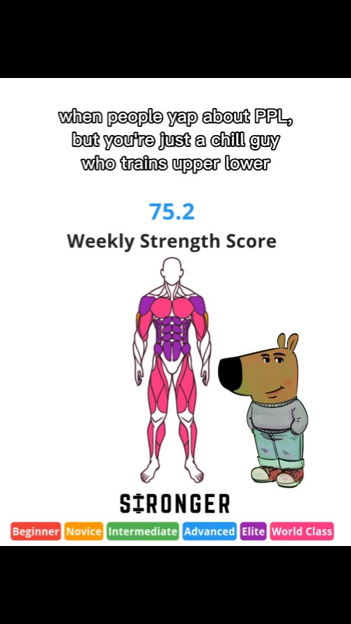 The image is a promotional graphic with a white background, featuring a cartoon illustration of a man's muscular physique colored in pink and purple, and a friendly dog-like character. The text overlay states: 'when people yap about PPL, but you're just a chill guy who trains upper lower'. Below, it shows '75.2 Weekly Strength Score', and below that is the logo 'STRONGER'. At the bottom, there are different color boxes with text showing options like 'Beginner', 'Novice','Intermediate', etc. with the colors being red gradually changing to purple.