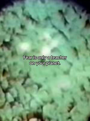 The cover image features a blurred, green background. Overlaid on this background is white text that reads: "Fear is only a teacher on your planet."
