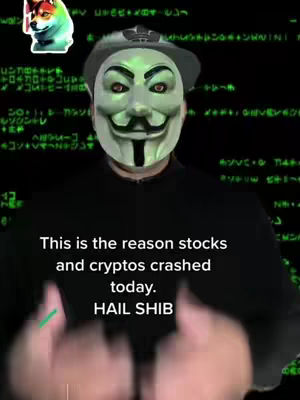 The cover image presents a person wearing a Guy Fawkes mask and a black hoodie. Behind them, a green, matrix-like digital rain effect fills the background. Overlayed text in a clear, white font reads, "This is the reason stocks and cryptos crashed today. HAIL SHIB."