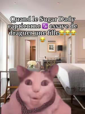 The cover image shows a pink cat face with an exaggerated expression. The cat has a black collar. The background is a well-lit bedroom or hotel room, with a bed, furniture, and indications of a living area; the text is overlaid at the top which gives more context to the video.