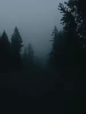 A dark, moody landscape of a forest shrouded in fog. Silhouetted trees dominate the foreground, with their forms gradually dissolving into the misty background. The palette consists of muted blues and blacks, creating a sense of mystery and stillness.