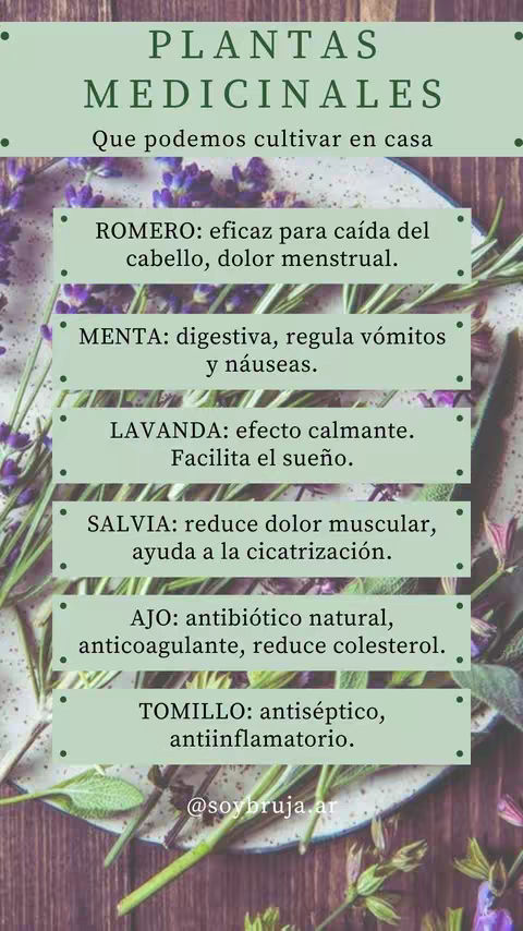 The cover image is a vertical infographic featuring a wooden background subtly patterned with wood grain. A collection of fresh herbs is placed across the bottom and right side of the image. In the center, a sequence of pale green rectangular blocks contains information about various medicinal plants. The text is in a stylized dark green font on a light green background. The heading 'PLANTAS MEDICINALES' is at the top. The overall aesthetic is clean and inviting, with a natural feel due to the wooden background and the presence of the herbs.