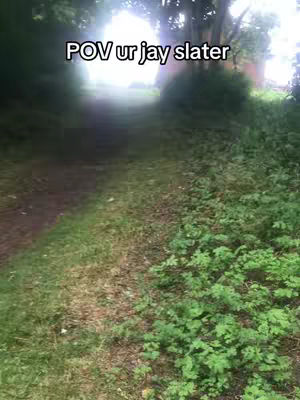 A POV shot looking down a grassy path into a bright opening. The path is surrounded by greenery and trees.