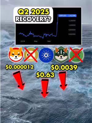 The image is a stylized graphic about cryptocurrency. The top part features a chart showing an upward trend, labeled with a cryptocurrency ticker and price. Below the chart are several cryptocurrency logos, and prices. Red arrows point down to the listed prices. The background appears to be an ocean scene.