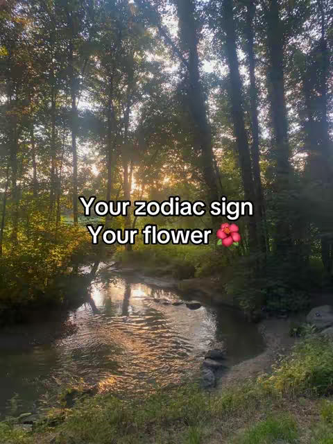 An image of a sunlit forested scene next to a river or stream. Text overlays read 'Your zodiac sign' and 'Your flower' with a flower graphic.