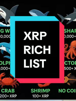 The cover image is a vertical graphic with a black background. Centered on the image is a blue and pink rectangle containing the words "XRP RICH LIST" in white, bold text. The background also shows images of marine animals such as sharks, dolphins, an octopus, and a crab, each paired with a label indicating an XRP amount, like “SHARK 1,000,000+ XRP”. The color scheme is vibrant, using shades of blue, pink, red, and yellow against the black. The overall composition is designed to be eye-catching.