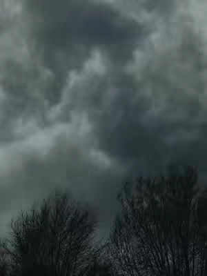 An image of a stormy, overcast sky dominates the view. Dark gray, heavy clouds fill the frame, suggesting an impending storm. In the foreground, the silhouettes of leafless tree branches are visible, adding a touch of desolation to the scene. The overall composition is somber and dramatic, with the dark colors and textures conveying a sense of unease or foreboding.