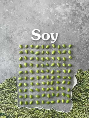 The image features a top-down shot of a rough, textured gray surface, likely stone or concrete. Centered on the surface is a piece of torn paper with a grid of green soybeans. Above the beans, the word 'Soy' is written in a large, white, sans-serif font. The bottom of the image displays a backdrop of green, textured material, possibly representing matcha powder or another ingredient associated with the beans.