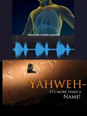 The image is a collage with three main sections. At the top, a translucent, animated human figure is displayed, showcasing the lungs, with a visible, overlaid text reading, 'Vesicular breath sounds'. Below that, there is a graph of blue soundwaves. At the bottom, there's an orange gradient background with the name 'YAHWEH' in gold letters. Above the word, on an angle is a man in a suit and next to the is the text: 'It's more than a NAME!' in white.