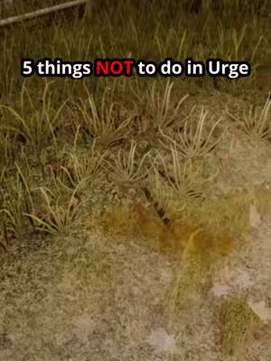 The image shows a close-up of a grassy area with the text overlayed in the top center of the image. The grass is a mix of green and brown, indicating natural, outdoor lighting.