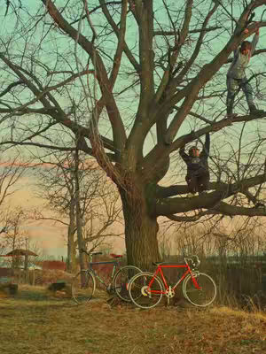 An outdoor scene shows a large tree with multiple bare branches against a blue and orange sky, with bicycles a the base of the tree. Two figures climb the tree. One is high up, with the other lower down.