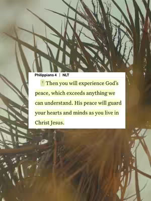 The cover image shows a section of green and reddish-brown spiky plant leaves, out of focus. A white rectangular box in the center contains text from Philippians 4, verse 7, which describes God's peace as exceeding all understanding.