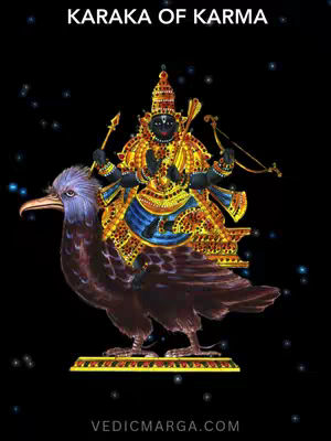 The cover image has a black background with a central illustration. The illustration depicts a deity or celestial figure with dark skin riding a large, stylized black bird. The figure is adorned with elaborate gold and jewel-toned ornamentation and holds various symbolic items. The bird is a mix of purplish-blue and black, against a lightly sprinkled starry pattern. The words 'KARAKA OF KARMA' are written in white at the top of the image, and at the bottom, 'VEDICMARGA.COM' is shown. The overall composition is detailed and ornate, likely related to astrological content.
