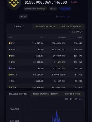 The cover image displays a screenshot of a crypto portfolio interface. The interface is dark-themed. The top displays the Binance logo and the portfolio value. Below there are tables showing holdings, prices, and balances in various cryptocurrencies. Charts at the bottom visually represent profit and loss data. The overall layout is organized and professional, with clear data presentation.