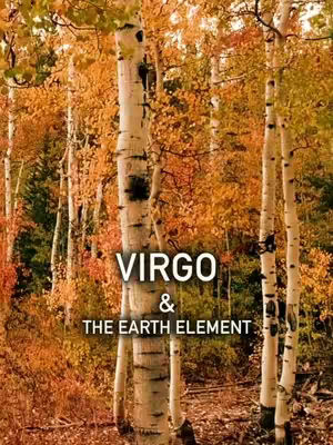 An image featuring a vibrant autumn forest scene with tall, light-barked trees in the foreground, and a backdrop of trees with dense foliage displaying hues of orange and yellow. The composition has text overlaid on the image that read 'VIRGO & THE EARTH ELEMENT'