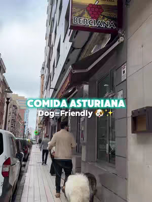 The cover image shows a street scene in Gijón, Spain. A man is seen walking down the sidewalk with a dog on a leash. Overlay text at the top says 'Comida Asturiana Dog Friendly' in a stylized font. The street has buildings on both sides and several parked cars. A sign for 'Berciana' restaurant is also visible. The overall view suggests a dog-friendly restaurant in an urban setting.