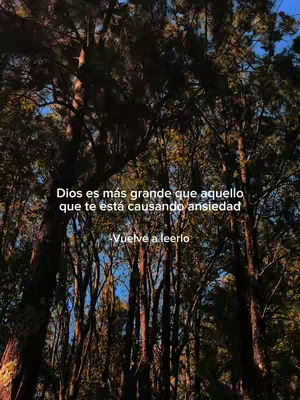 An image of a natural environment surrounded by a lot of trees on a sunny day and text added.