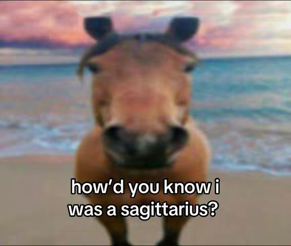 The image shows a brown horse from the chest up, positioned close to the viewer. The horse's face is the primary focus, with its ears visible at the top of the frame. The background is slightly blurred, depicting a beach scene with an ocean and a sky with sunset colors. Text overlayed at the bottom reads, 'how'd you know i was a sagittarius?' in a white, sans-serif font.