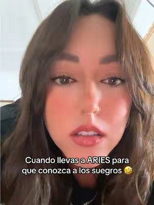 A close-up shot of a woman's face, framed from the shoulders up. She has long, wavy brown hair and is looking slightly to the left. Her skin appears to be fair, with a hint of blush on her cheeks next to prominent cheekbones. She has a slight smile, and her lips are a natural pink. The background is blurred, with hints of a wall or a similar surface. Text overlayed on the bottom reads: Cuando llevas a ARIES para que conozca a los suegros, with a laughing emoji.