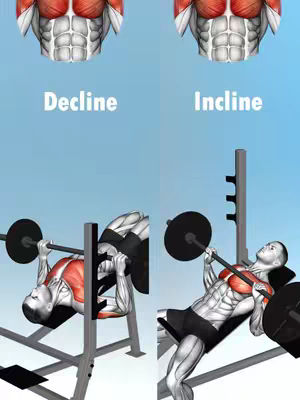The image is divided into two parts, each showcasing a different angle of a person performing a barbell bench press. The top part shows the anatomical representation of chest muscles. In the bottom half, on the left, a person is lying back on a decline bench, pressing a barbell, accompanied by a machine. On the right side, a person is positioned on an incline bench for the same exercise. The background is a light blue gradient.