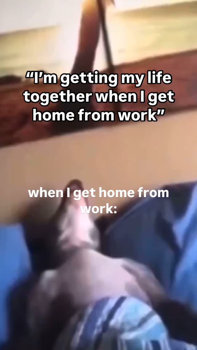 The image shows a person lying down with their back toward the camera, seemingly relaxed. Bold white text overlays the image, humorously describing the discrepancy between intentions and reality.