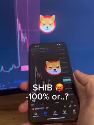 The cover image shows a person holding a phone displaying the Shiba Inu crypto chart. The background is another screen showing similar crypto data, and floating Shiba Inu logos are also visible. Text on the phone screen asks a question about the coin's value.