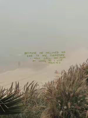The image captures a tranquil landscape, possibly a mountainous or coastal view, with a hazy atmosphere suggesting either fog or a misty environment. The foreground features a cluster of tall, dried grasses in shades of tan and brown, adding a natural element to the scene. In the middle ground, a lighter, more obscured area blends into the background, where the text is overlaid. The sky is a muted gray, contributing to the overall soft and somewhat desaturated color palette. Text, written in a pale green font, is strategically placed towards the upper-center, quoting from scripture. The composition is simple but evokes a sense of peace and reflection, with the text serving as the central focus.