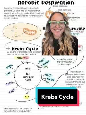 A woman with glasses stands in front of a diagram about the Krebs cycle. The background includes parts of the diagram, with arrows and labels that appear to be hand-drawn. The text "Krebs Cycle" appears in a colored box at the bottom of the image. The creator is wearing glasses and it seems she is live in front of the camera.