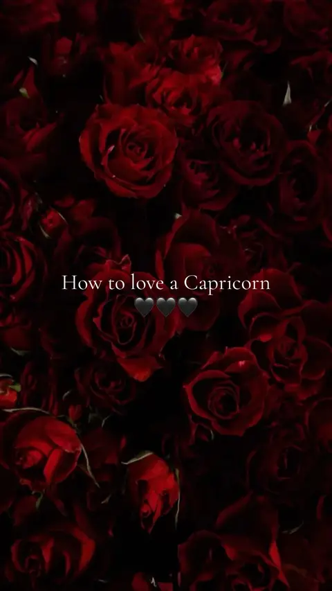 Close-up shot of a dense arrangement of dark red roses, filling the frame. The roses are in various stages of bloom, some tightly closed, others fully open, creating a rich texture. The lighting highlights the velvety texture of the petals, with the dark red hue dominating the scene.