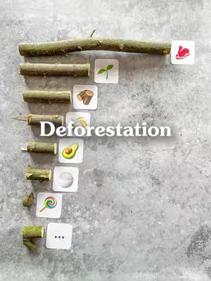 The cover image uses a light gray mottled background. Arranged vertically on the left side are sections of tree branches of varying lengths, resembling steps. Each branch segment is coupled with a small white square containing a related icon: a sprout, a set of chopped logs, grains, an avocado, a partially visible sphere, a swirl lollipop, and finally three dots, which indicate the continuation. The word "Deforestation" is written in bold, gray text across the center of the image.