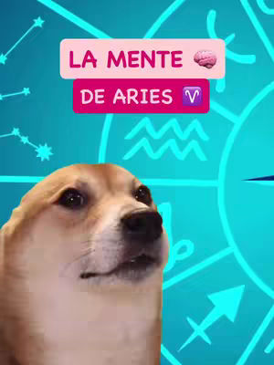 The image features a dog meme with a light brown and white coat, set against a vibrant turquoise background. In the background, there are celestial and astrological symbols, including stars and arrows. Overlaid on the image are two rectangular text boxes in pink and white, displaying the text 'LA MENTE' and 'DE ARIES' in Spanish, with a brain icon and Aries zodiac symbol incorporated. The dog has a surprised expression, facing upwards.