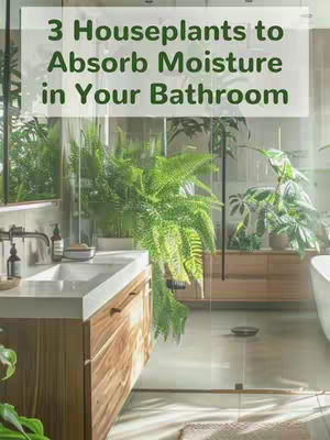 A well-lit bathroom scene showing a wooden vanity with a white countertop and a large mirror, a partially visible bathtub, and a lush green plant in the center. The overall composition is clean and emphasizes natural elements.