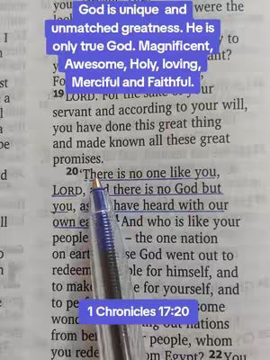 The image shows a page from a Bible, with text highlighted in blue and purple overlay text boxes. The pen is used to highlight the text. The overall composition is vertical, highlighting the page and the text.